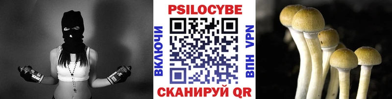 Псилоцибиновые грибы мицелий  где продают наркотики  Миллерово 