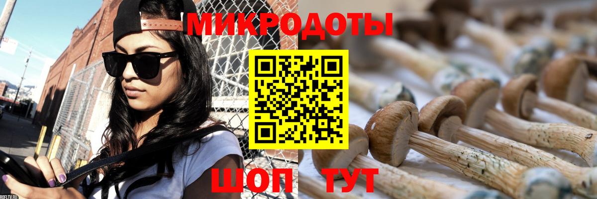 Галлюциногенные грибы прущие грибы  Вход с VPN  наркошоп  Галлюциногенные грибы мицелий  Миллерово 