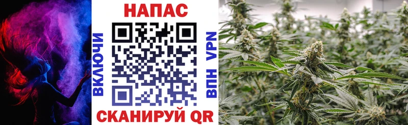 МАРИХУАНА OG Kush  Миллерово 
